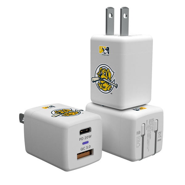 Charleston RiverDogs Insignia USB-C Charger